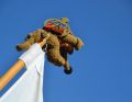 Schnuffi überblickt die Wallfahrer