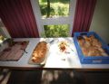 FAIRER Tag bei der Kolpingjugend Legau